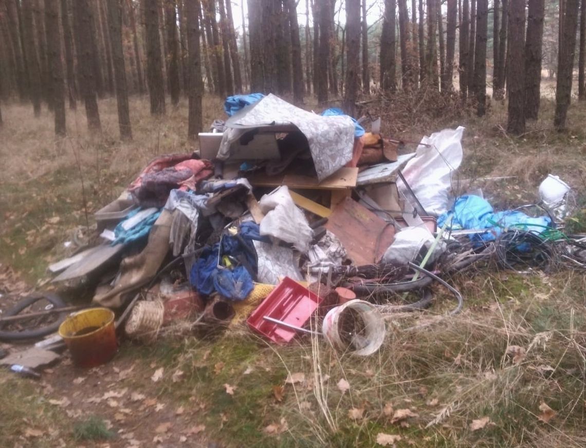 Ktoś wyrzucił śmieci w lesie za Staniszczami Małymi. Jeszcze nikomu nie przedstawiono zarzutu 