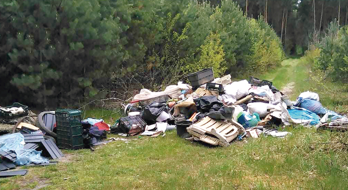 Ktoś zrobił sobie wysypisko z lasu w Kielczy. Nadleśnictwo szuka sprawcy
