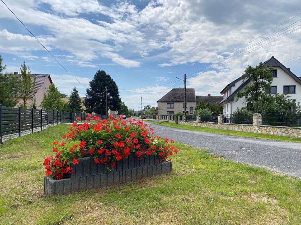 Kwitnące kwietniki w Niwkach cieszą oko mieszkańców i przejezdnych