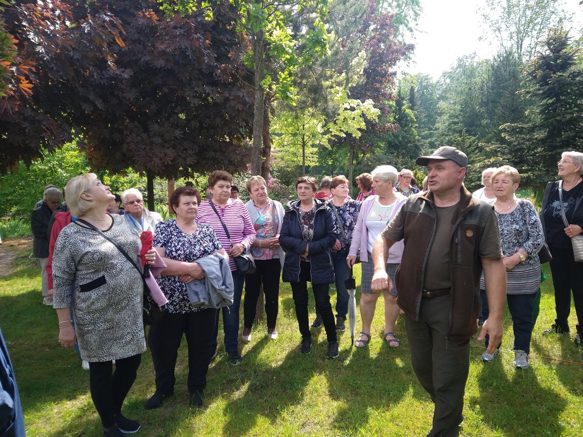 Leśna integracja seniorów z gminy Kolonowskie. Atrakcji nie brakowało