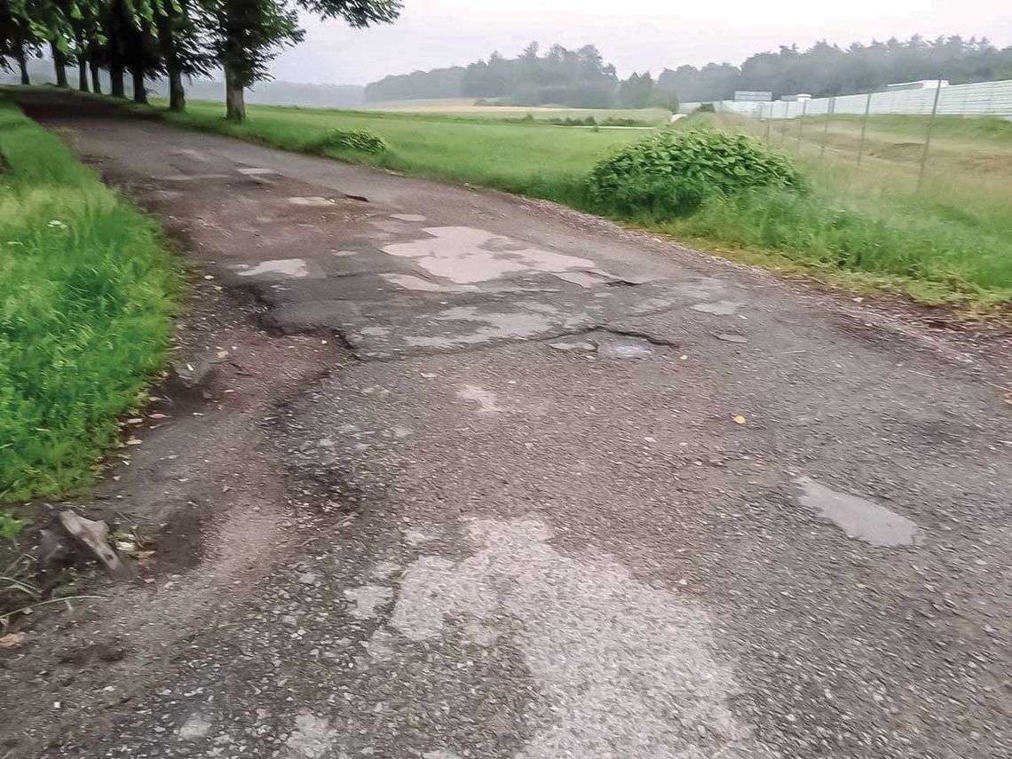 Lipowa jak ser szwajcarski