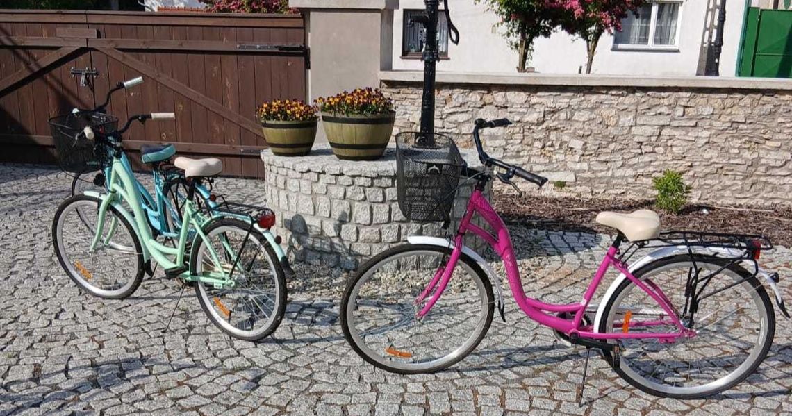 Damski lub męski, różowy albo szary? Wypożyczalnia rowerów w Jemielnicy