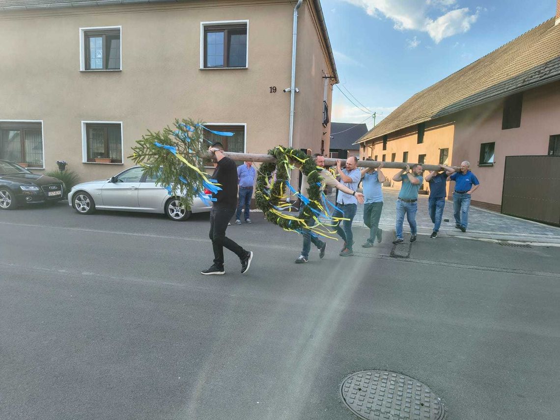 Na terenie gminy Jemielnica stanęły drzewka majowe Na terenie gminy Jemielnica stanęły drzewka majowe