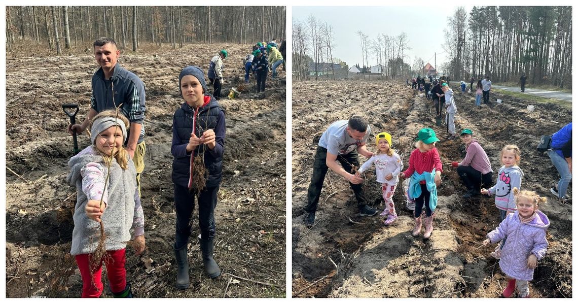 Nie będzie nas, będzie las. Akcja sadzenia drzewek na 700-lecie Gąsiorowic
