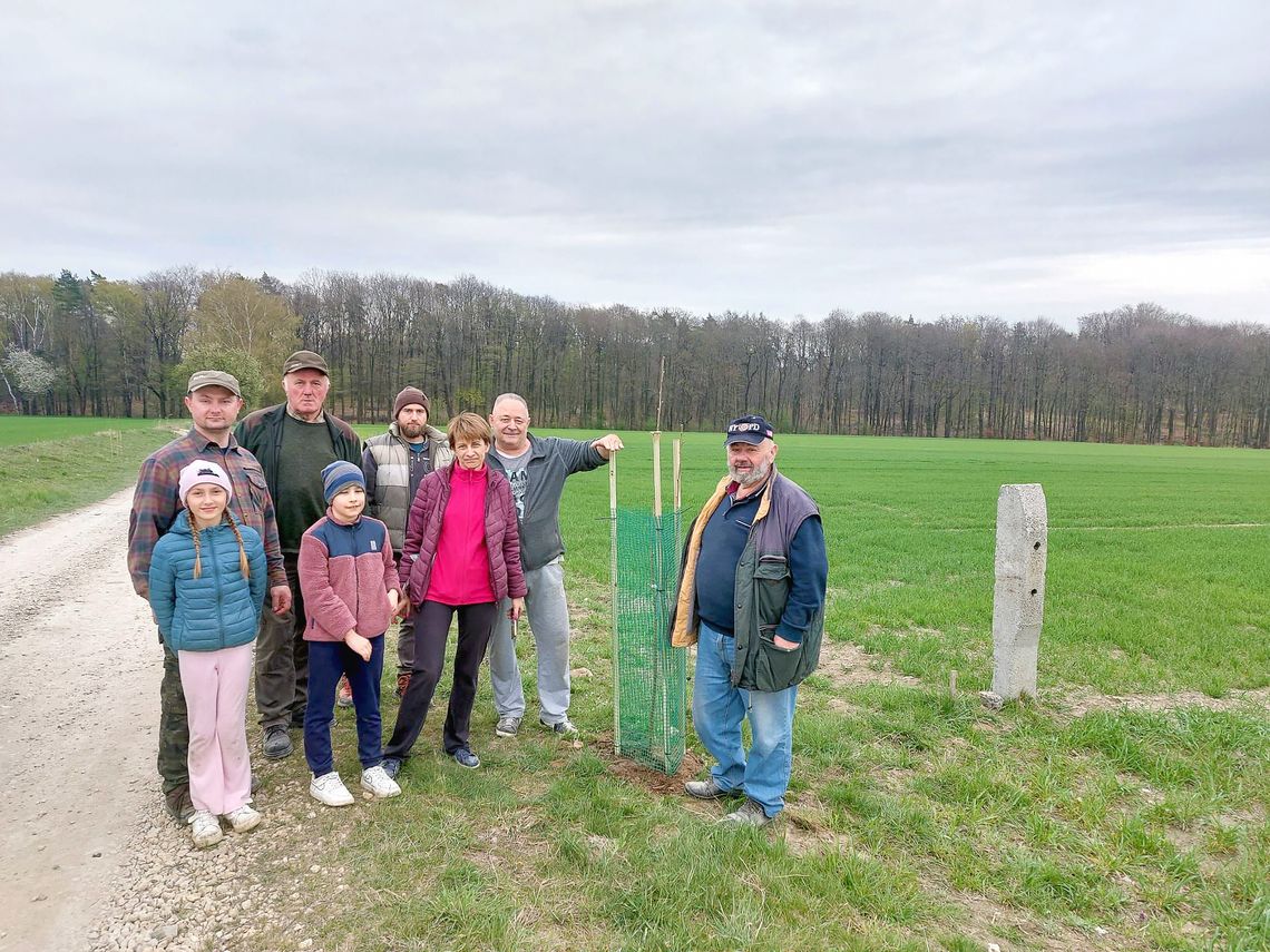 Mieszkańcy Nogowczyc otworzyli dawną aleję czereśniową
