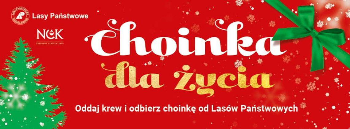 Oddaj krew, dostaniesz choinkę. Ogólnopolska akcja Lasów Państwowych również w Strzelcach Oddaj krew, dostaniesz choinkę. Ogólnopolska akcja Lasów Państwowych również w Strzelcach
