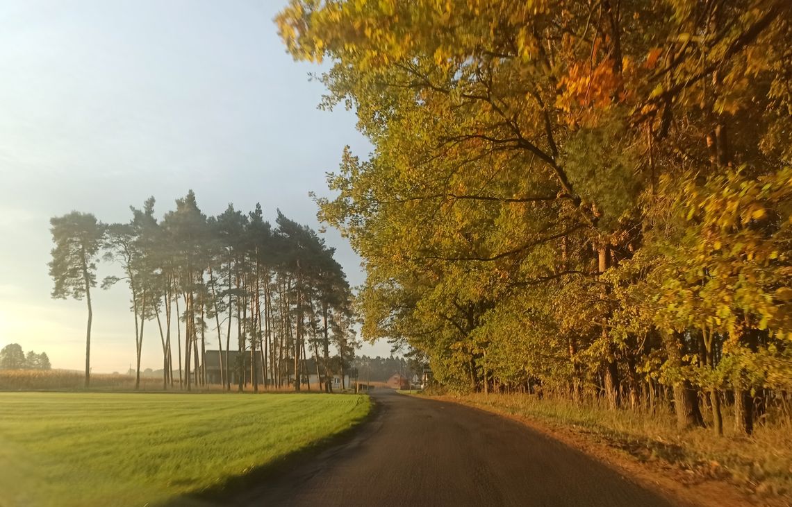 Ostrzeżenie o silnym wietrze dla powiatu strzeleckiego 