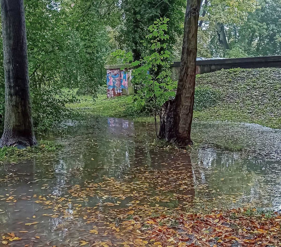 Park to całodobowy bar... Park to całodobowy bar...