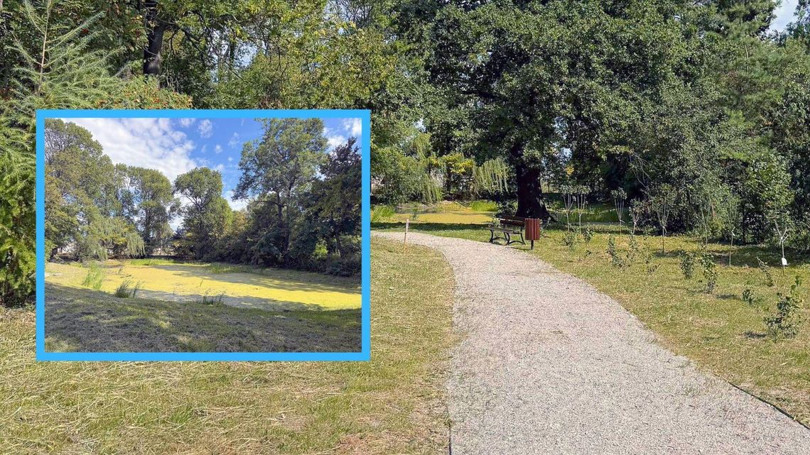 Park w Kalinowicach po rewitalizacji. Prezentuje się o wiele lepiej