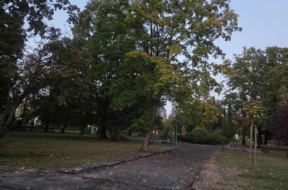 Park w Zawadzkiem przejdzie metamorfozę. Będzie fontanna i pomnik jelenia