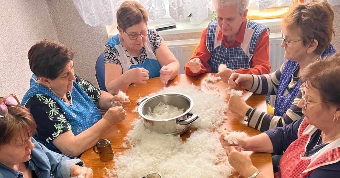 Skubanie pierza w Kadłubie. Tej tradycji nie kultywuje się wszędzie