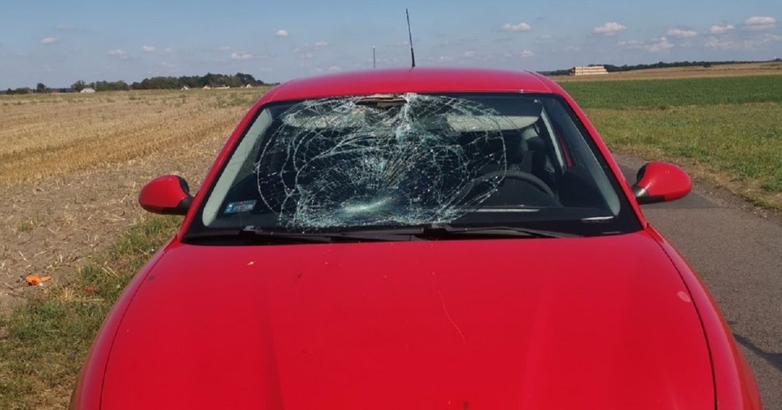 Rowerzysta wjechał pod auto, bo zagapił się w telefon. Trafił do szpitala