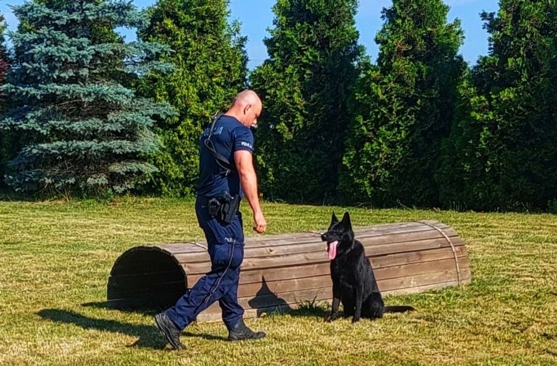 Strzelecki policjant i jego pies Black wśród najlepszych na Opolszczyźnie