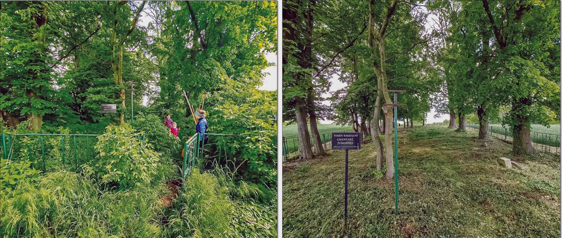Posprzątali cmentarz żydowski Posprzątali cmentarz żydowski