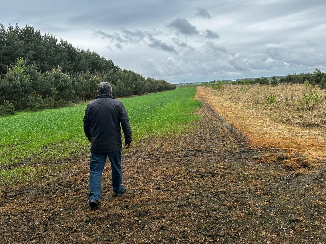 Potruł uprawy sąsiada. Czy coś mu za to grozi?