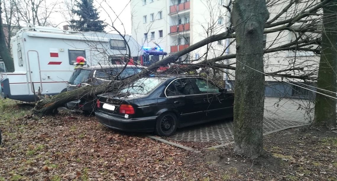 Powalone drzewa, zerwane dachy. Nasi strażacy wyjeżdżali ponad 60 razy! Zdjęcia Powalone drzewa, zerwane dachy. Nasi strażacy wyjeżdżali ponad 60 razy! Zdjęcia