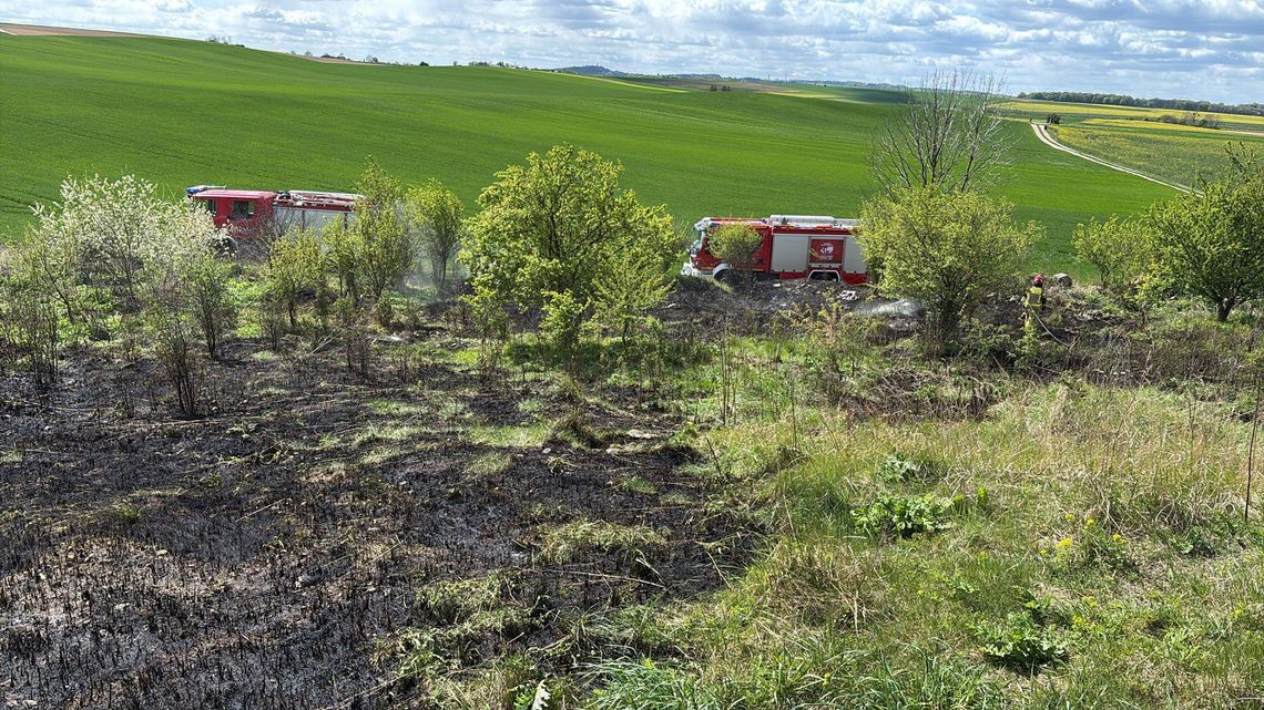 Pożar na Dolińskiej w Strzelcach Opolskich. Trzy zastępy w akcji