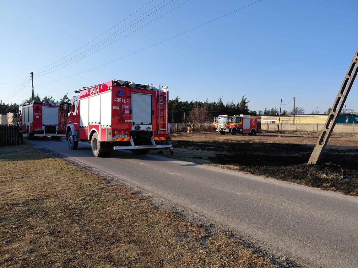Pożar trawy w Kolonowskiem. Strażacy apelują