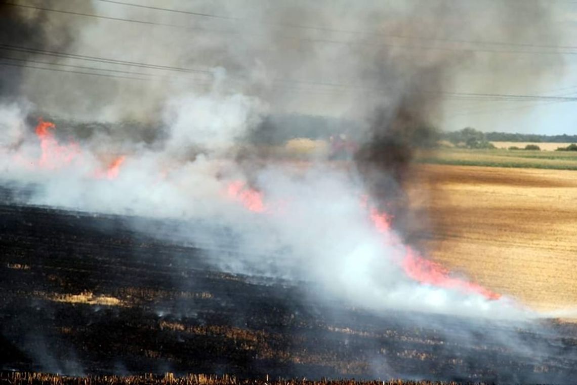 Pożary ściernisk w gminie Ujazd. Rolnik pomógł w jednej z akcji gaśniczych