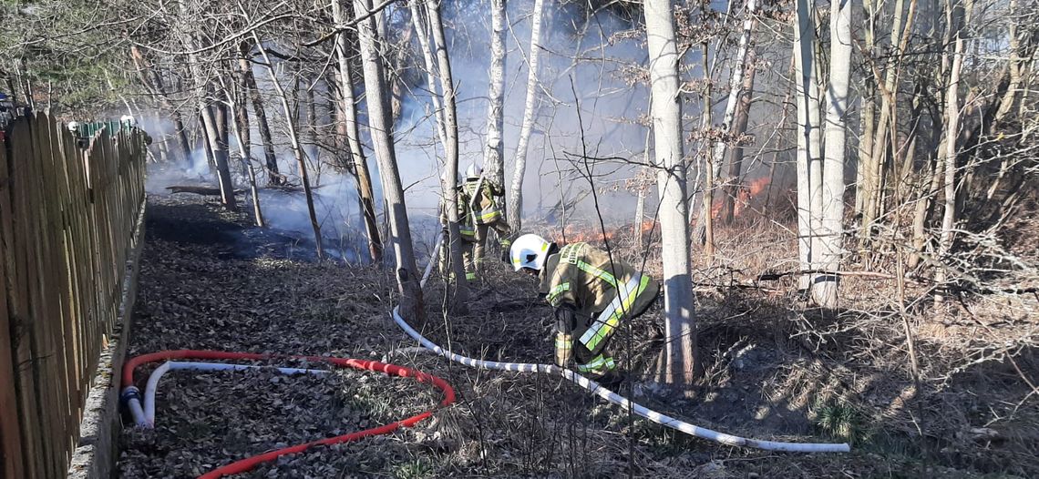 Pożary traw w Kadłubie i Osieku. Powodem brak odpowiedzialności?