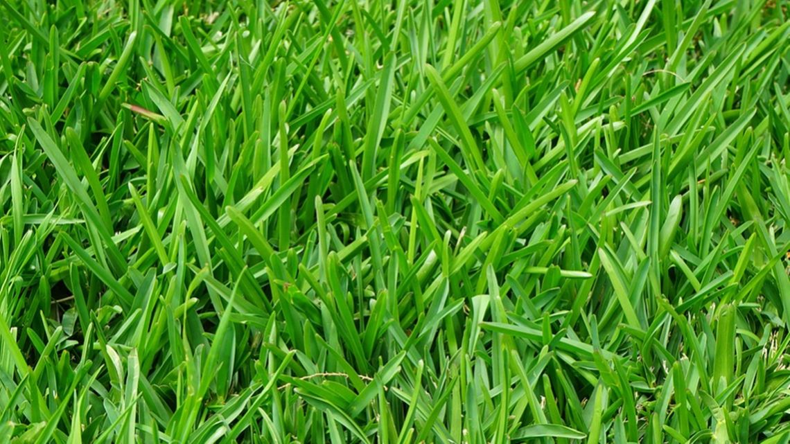 PZPN radzi jak trenować PZPN radzi jak trenować