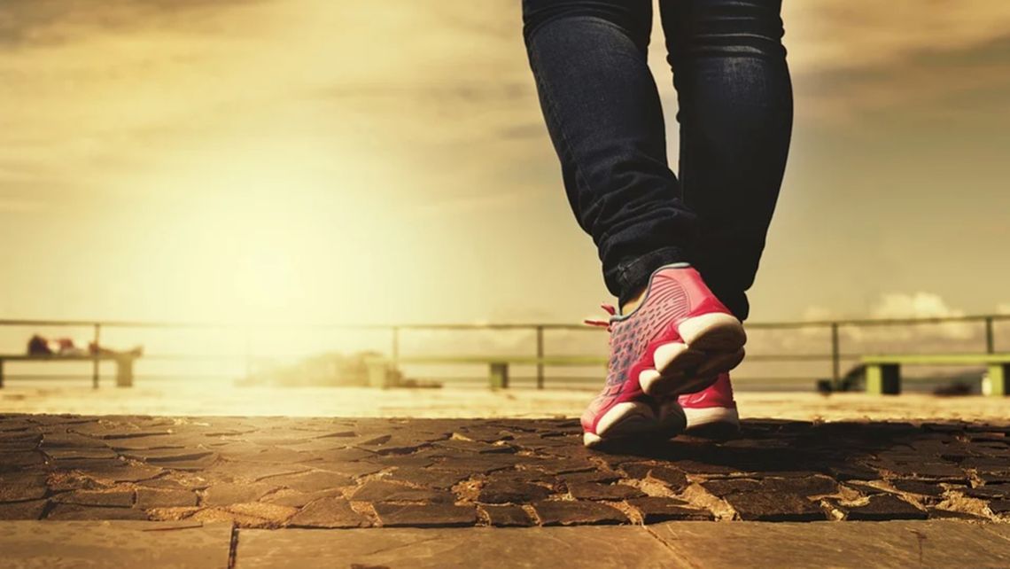 Rządowe plany na sport