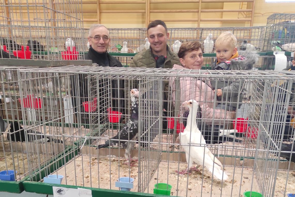 Setki zwierząt na wystawie gołębi i królików w Strzelcach Opolskich