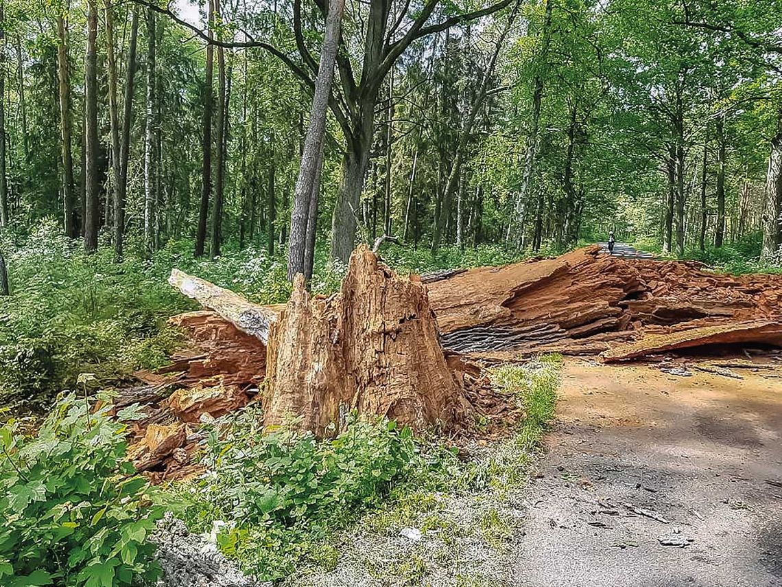 Spełnił się czarny scenariusz