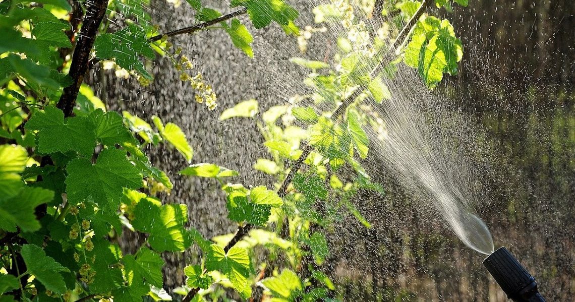 Opryski w Strzelcach Opolskich będą ograniczone. Ale nie znikną Opryski w Strzelcach Opolskich będą ograniczone. Ale nie znikną
