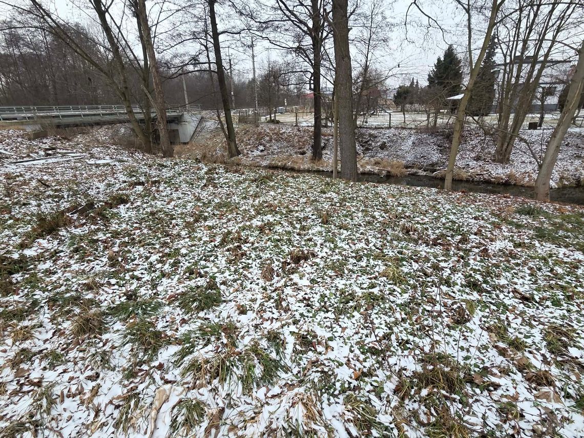 Jest pomysł na teren przy Bziniczce w Kolonowskiem. Może powstać pomost widokowy Jest pomysł na teren przy Bziniczce w Kolonowskiem. Może powstać pomost widokowy