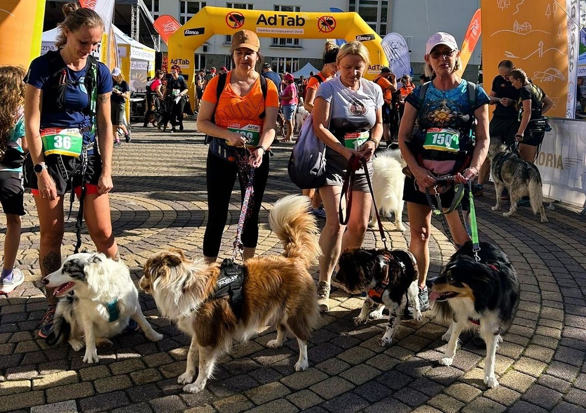 Mamy mistrzynię Polski w dogtrekkingu. Działa u nas też specjalny klub