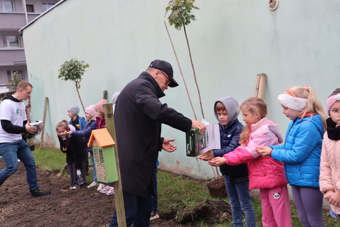 Strzelce Opolskie wśród czystych i zielonych miast