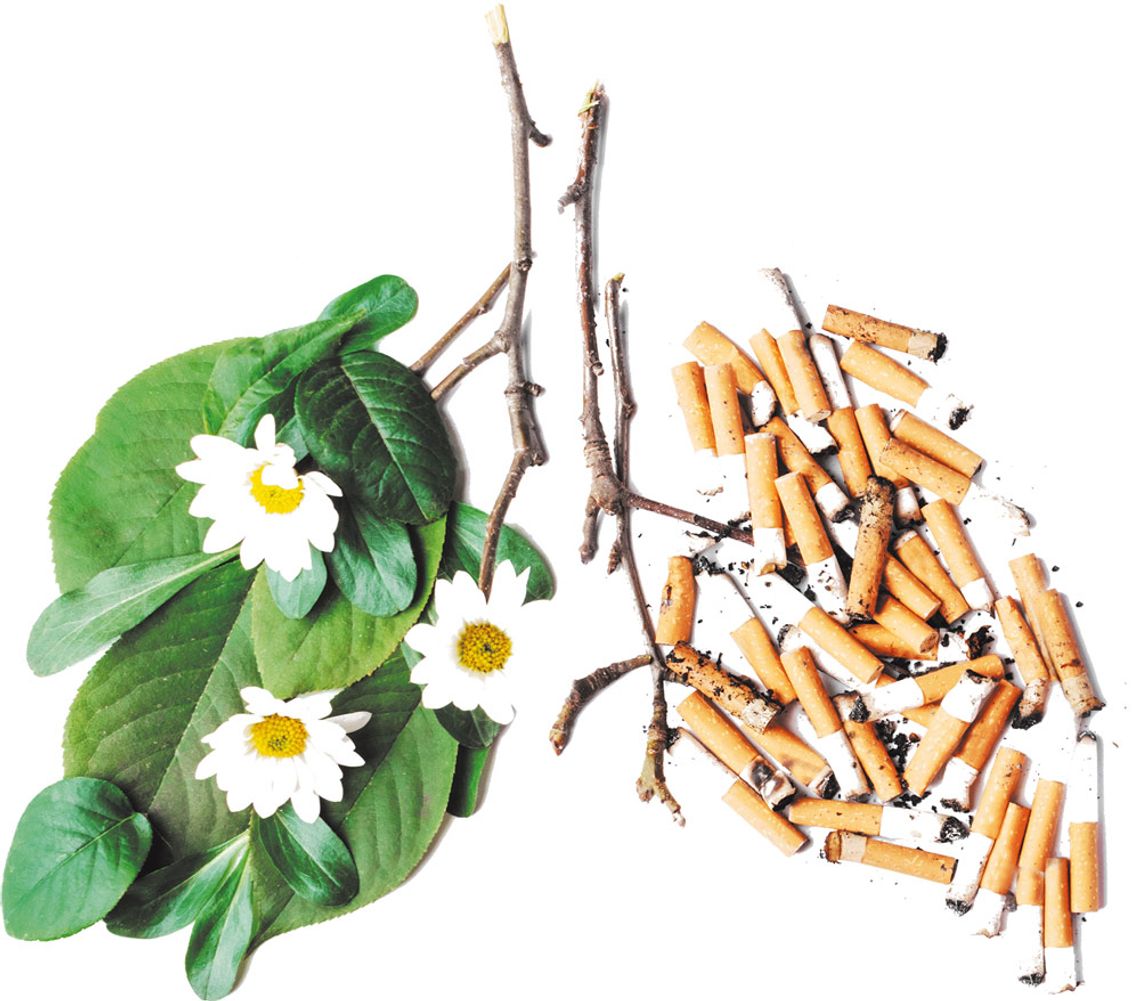 Światowy Dzień bez Tytoniu Światowy Dzień bez Tytoniu