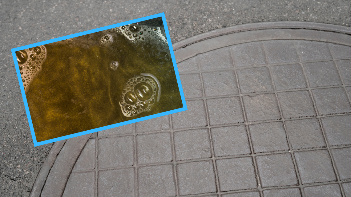 Szmaty i tłuszcz zatkały rury. Niektórzy traktują kanalizację jak śmietnik