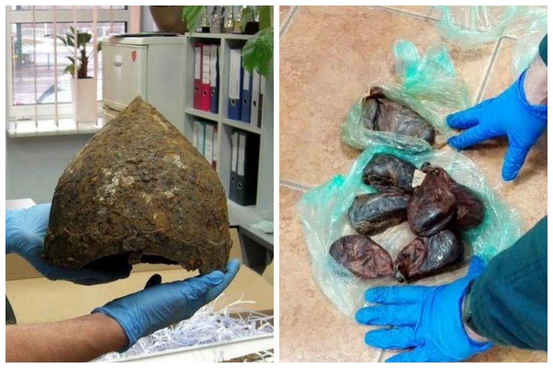 Szok! Gruczoły bobra, hełm, krąg wieloryba. Co ludzie przywożą z wakacji?