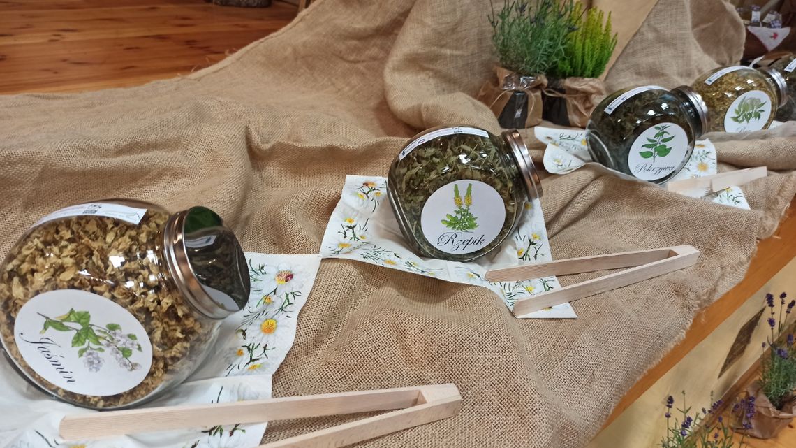 Szukamy starych przepisów Szukamy starych przepisów