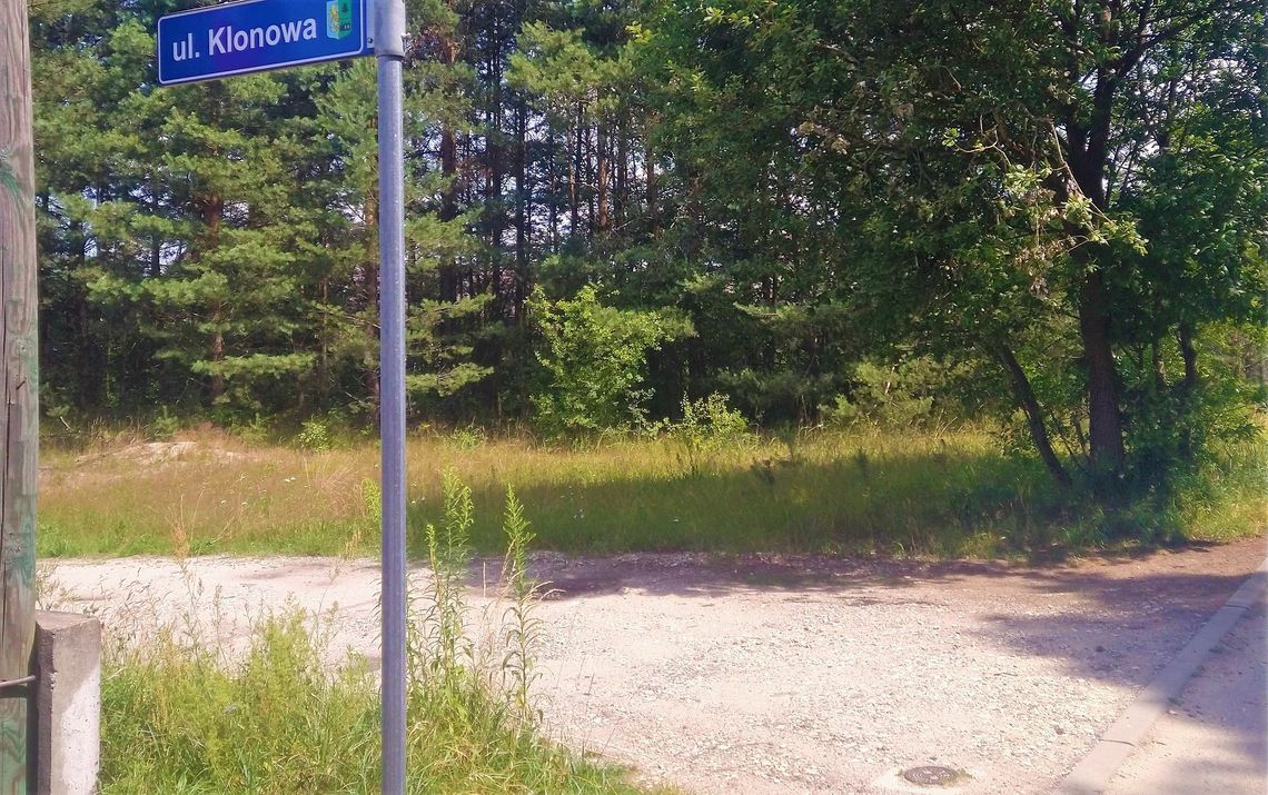 Te drogi w gminie Kolonowskie wkrótce doczekają się remontów. Jakie?