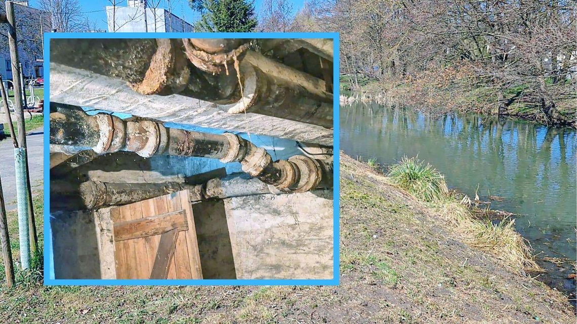 To się w głowie nie mieści! Reklamówki w rurach i pralka w kanale To się w głowie nie mieści! Reklamówki w rurach i pralka w kanale