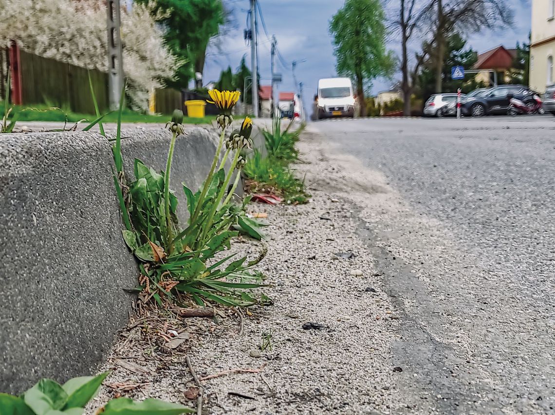 Trawa na jezdni i inne problemy