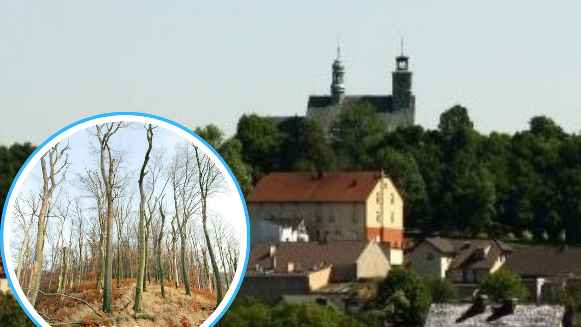 Tunel pod Górą Świętej Anny? Stare błędy można naprawić