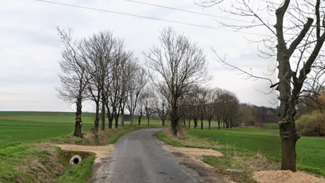 Uwaga kierowcy, szykuje się wycinka drzew przy drodze Uwaga kierowcy, szykuje się wycinka drzew przy drodze