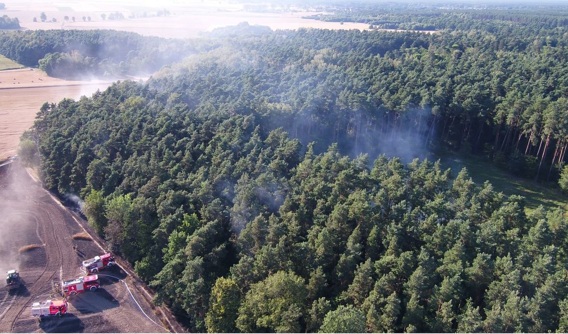 W Nadleśnictwie Zawadzkie kamerami wypatrują dymu w lasach. Z jakim skutkiem?