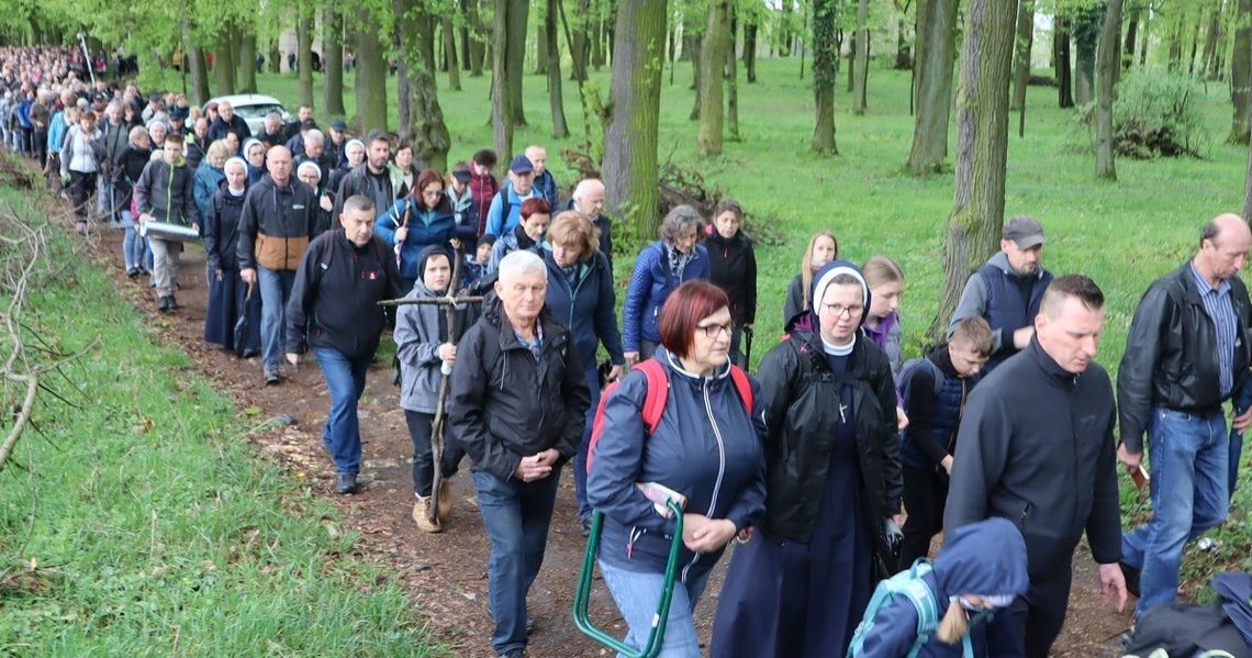 Wielki piątek na Górze św. Anny. Obchody przyciągnęły setki pielgrzymów Wielki piątek na Górze św. Anny. Obchody przyciągnęły setki pielgrzymów