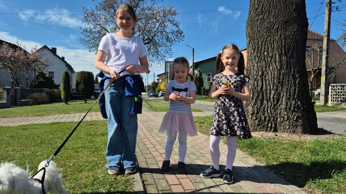 Wielkie poszukiwania w Nowej Wsi. Mieszkańcy ruszyli tropem złotych jajek