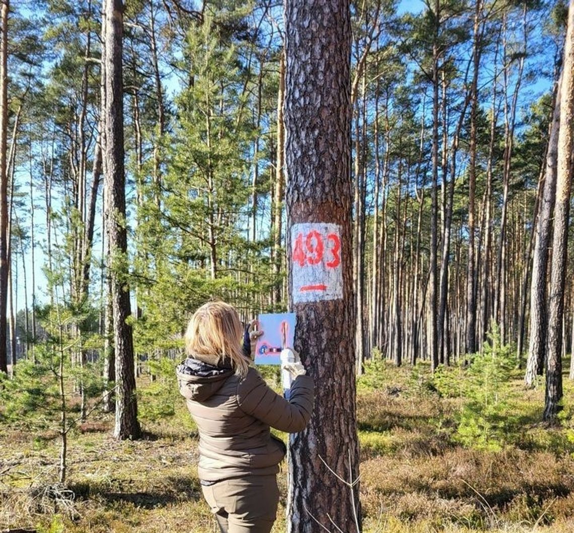 Wkrótce wzrośnie zagrożenie pożarowe w lasach. Służby apelują o ostrożność