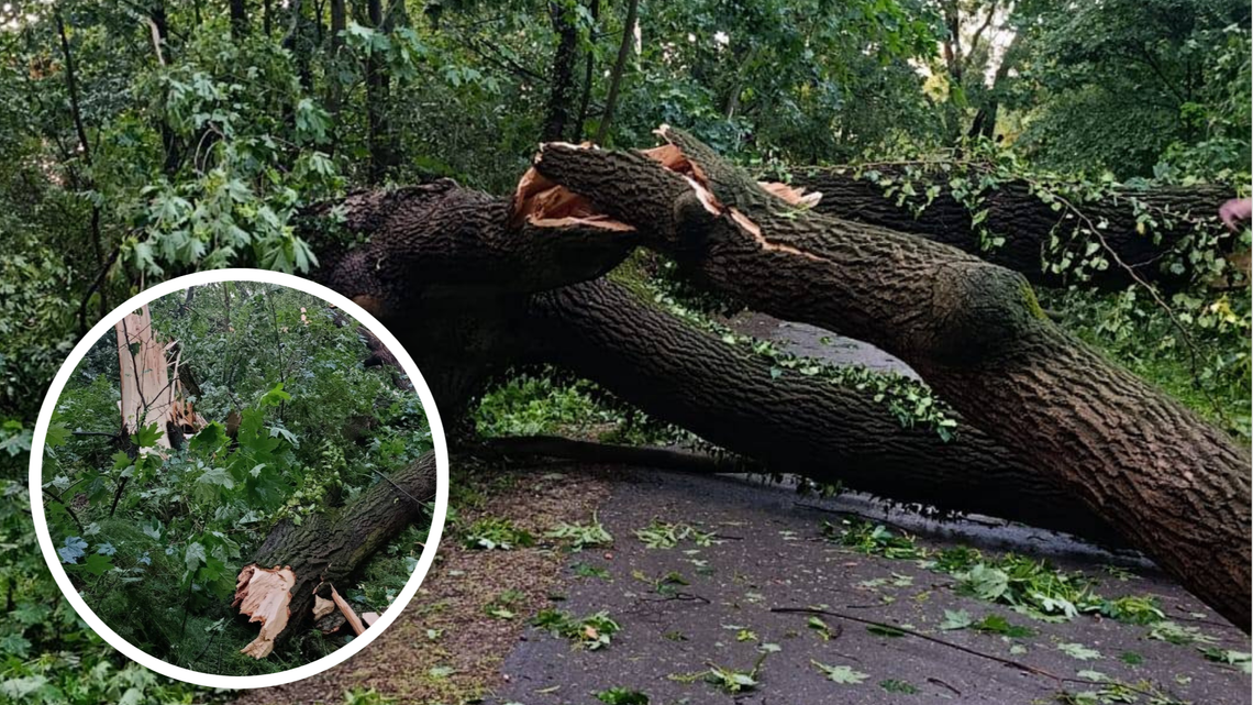 Nawałnica dotknęła również strzelecki park. Jest apel do mieszkańców Nawałnica dotknęła również strzelecki park. Jest apel do mieszkańców