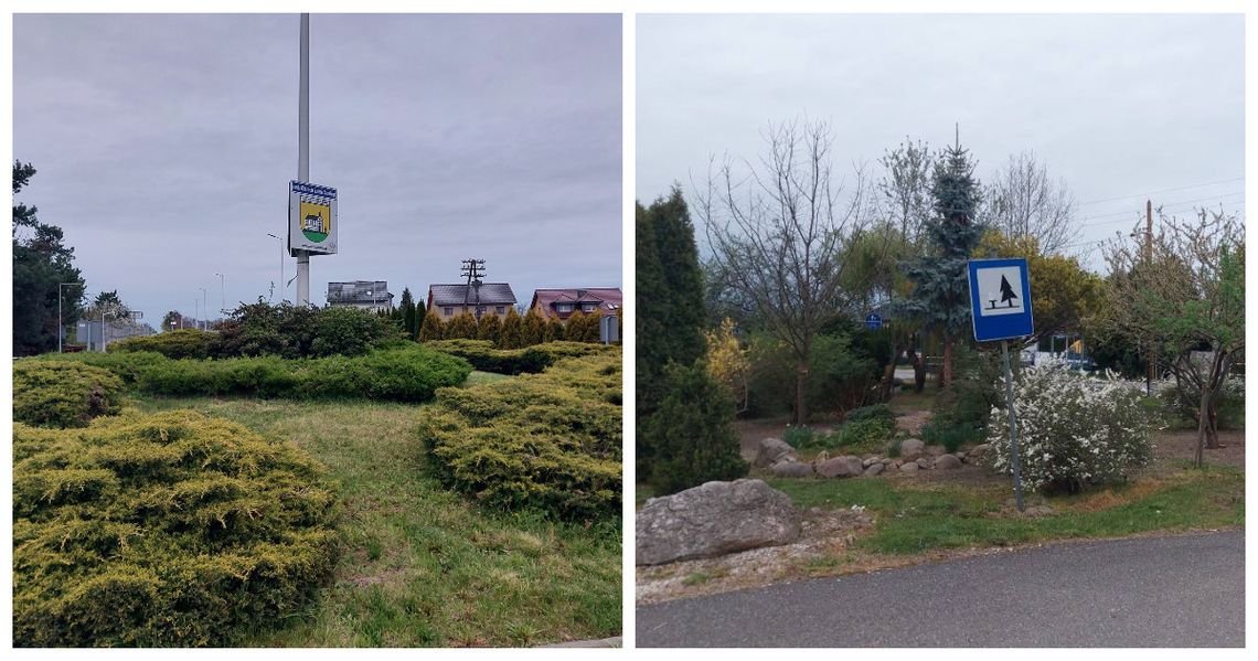 Ładniej w Zalesiu Śląskim. Mieszkańcy zadbali o tereny zielone