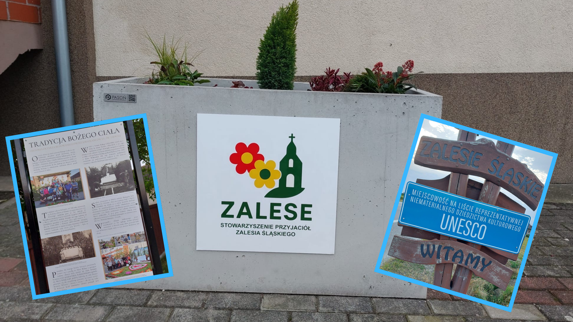 Zalesie Śląskie ma swoje stowarzyszenie. Działa na rzecz miejscowości i dywanów kwietnych