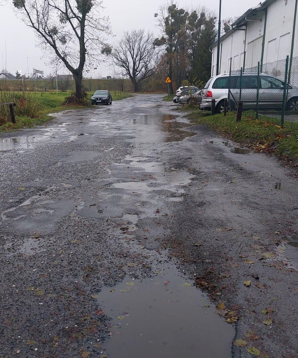 Zapomniana ulica Matejki w Strzelcach Opolskich