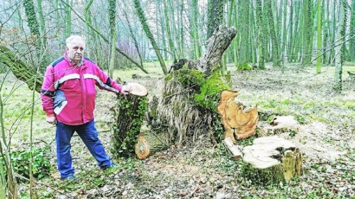 Zieleń Miejska w Strzelcach Opolskich do likwidacji. Pracownicy mają dostać wypowiedzenia